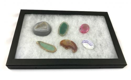 ガラス蓋標本箱(黒)　フィルター入　虫ピン止め